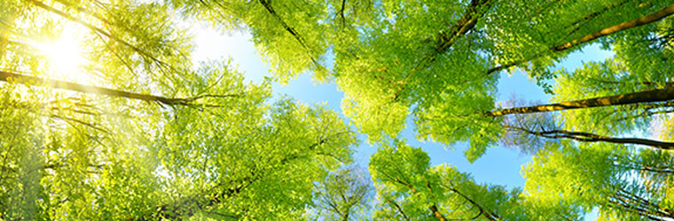 Aegon Asset Management scores top responsible investment rating