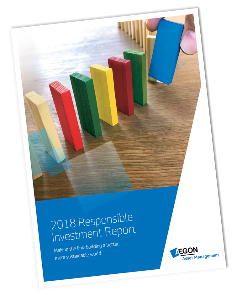 2018 Responsible Investment Report 