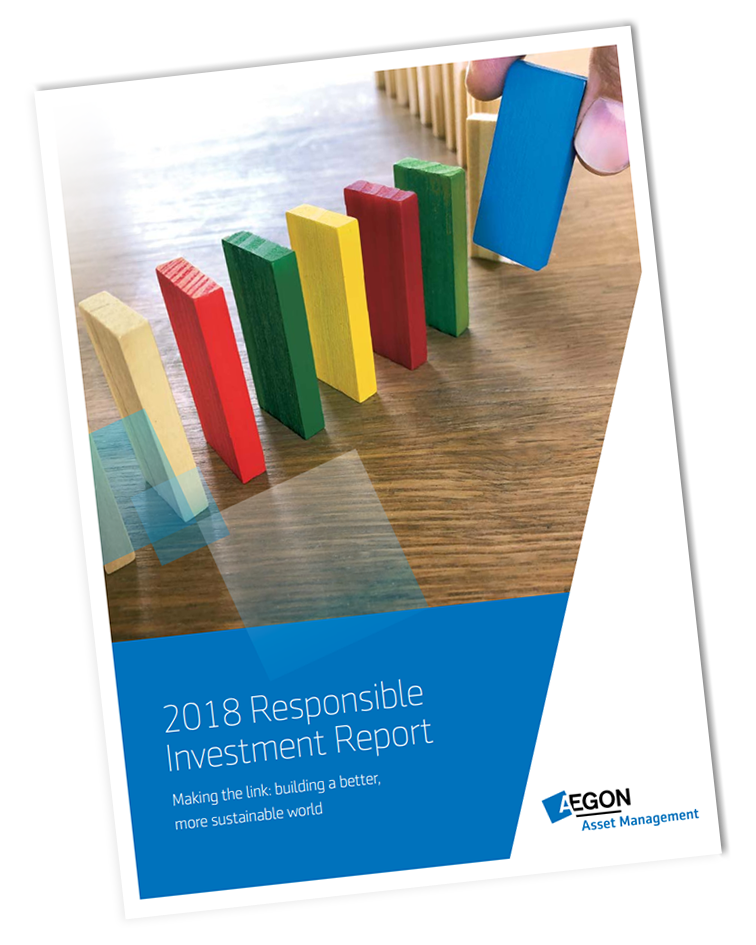 2018 Responsible Investment Report