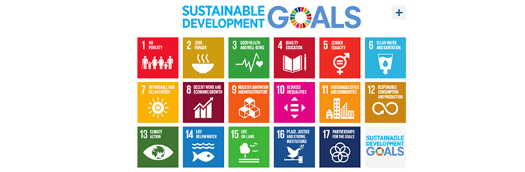 Aegon raises the flag for global sustainability