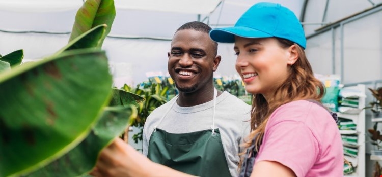 two people looking at plants