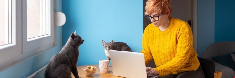 Pink haired woman on computer with cats