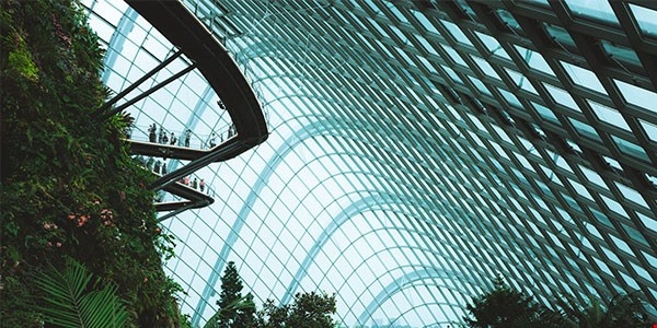 big greenhouse